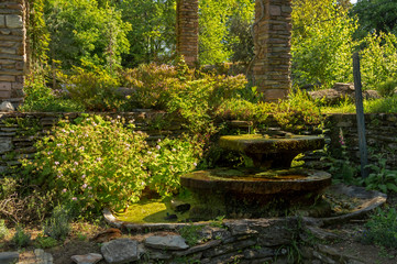 Botanical Garden of Porto, Portugal. Beautiful garden to visit and be in contact with the biodiversity of nature.
