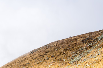 zwei kleine Bergwanderer gehen eine Almwiese entlang hoch