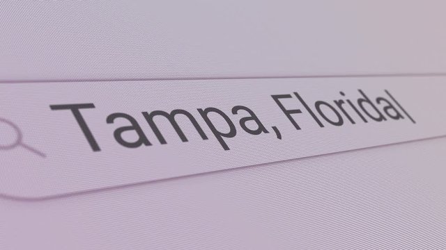 Tampa Florida Search Bar Close Up Single Line Typing Text Box Layout Web Database Browser Engine Concept