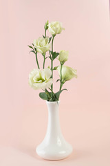 Beauty Eustoma flowers bunch, сhinese rose