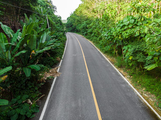 Fototapeta premium Rural Asphalt road through tropical rainforestgreen tree