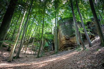Sandstone cliff in Czech Republic