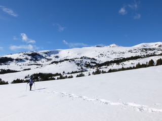 Fototapeta premium Jeune femme randonneuse en raquette dans la neige en montagne sous le soleil des Pyrénées Orientales de Cerdagne