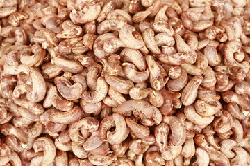 Fresh cashew seeds, Sanguem, Goa, India