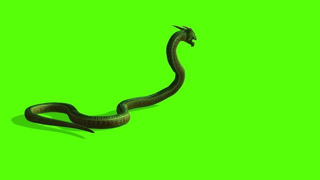 animation of Snake attack - Python Green Screen