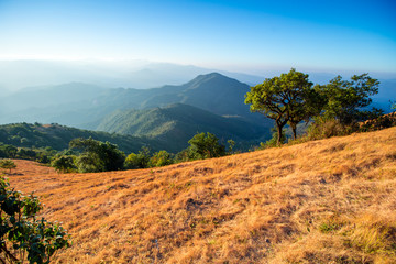 Natural two tone ,brown and green background of grass of Doi Pui Co, Sop Moei, Mae Hong Son province of Thailand