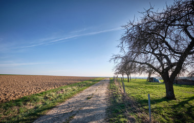 Fototapeta na wymiar Diminishing old and decaying gravel road leading to the horizon on a beautiful springtime day in the countryside. Seen near Tauchersreuth, Germany, March 2019