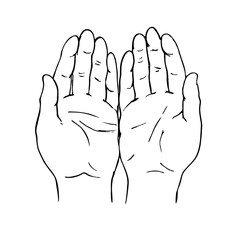 Palms of hands together freehand drawing. Cupped hands vector illustration