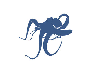 Octopus logo vector template. Isolated octopus design on white background. Illustration