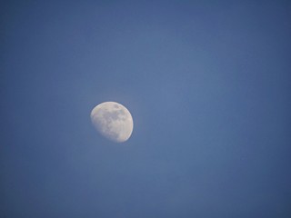 Naklejka na ściany i meble View of a gibbous moon in blue skies background