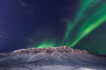 Fototapeta na wymiar The polar arctic Northern lights aurora borealis sky star in Norway Svalbard in Longyearbyen with the mountains. Travel adventure