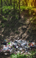 Garbage in the Forest - Environmental Pollution - 320804718