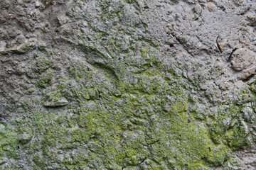 Cement wall in industrial building, great for your design and texture background.