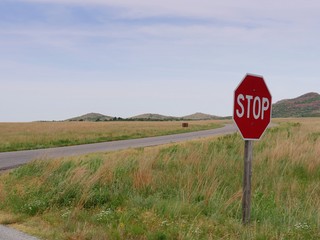 Stop sign in a meadow right by a road intersection