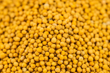 mustard seeds in a macro