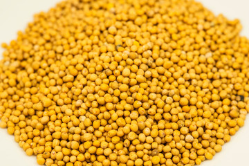 mustard seeds in a macro