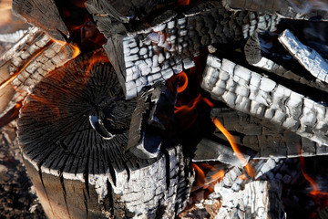 Burnt wood background, texture abstract