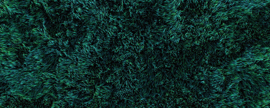Abstrakt 3D Render unterwasser Seegras Hintergrund im Weitformat