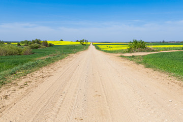 Lithuanian dirty road through the green rural fields