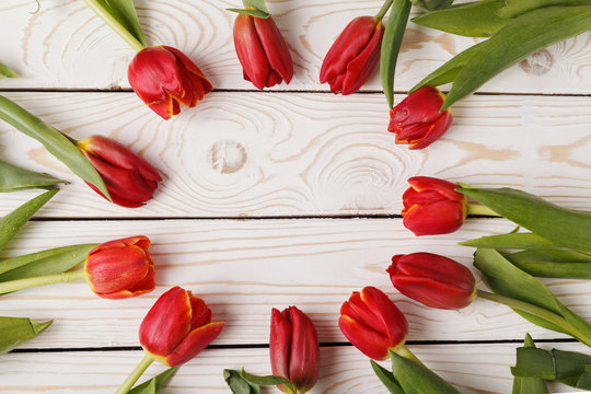 Fresh red tulips made in a circle on a background of white painted wooden boards with space for text for mother's Day.