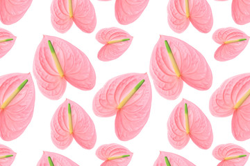 Pattern of a pink flower of different sizes on a white background.