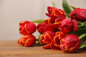 Flowers of spring tulips in dew, on a wooden table. Red tulips on a beige background. Spring greeting card