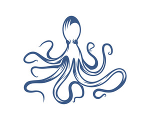 Octopus logo vector template. Isolated octopus design on white background. Illustration