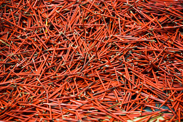 Fototapeta premium A lot of red pencils chaotic arranged