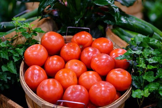 Tomato Display