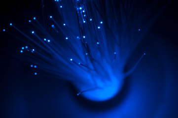 Optical fibers