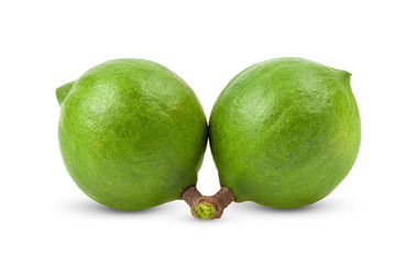 macadamia nuts  isolated on white background