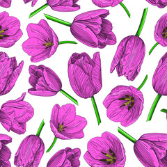 Pattern of pink tulip buds on a white background