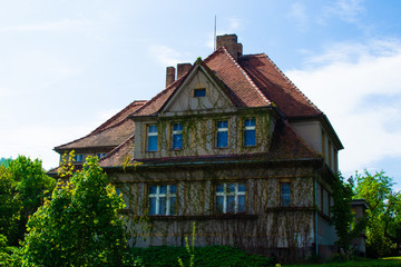 Typical country czech house decorated with climbing plants in a rural town