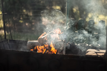 Burning firewood in barbecue