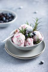 ice cream with frozen blueberry