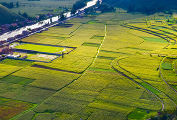 Green farming fields with beautiful light and shapes in Pisac town in Peru