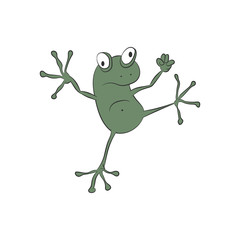 Cartoon frog. Vector illustration on a white background.