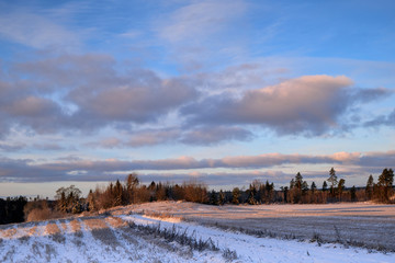 Snowy field on a cloudy winter day with some trees in the background
