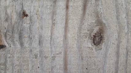 wood texture background