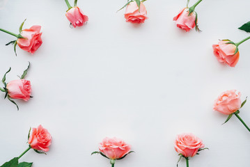 Frame made of fresh pink roses in full bloom on white background.