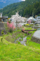 京都の田舎　春の風景