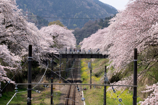 54 Best 山北駅 Images Stock Photos Vectors Adobe Stock