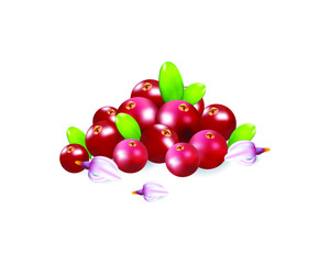 Berries realistic 3d vector icon isolated on white background. For juice, pudding, smoothie, sauces ads.Vector  illustration.