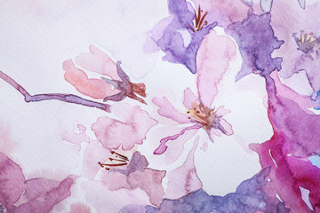 Naklejki  Zbliżenie widok pięknego kwiatowego malarstwa akwarelowego