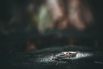 wedding rings.