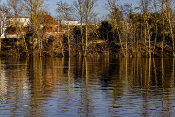 reflection of trees in the water