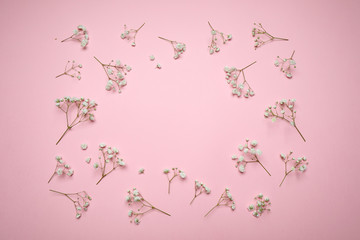 Naklejka premium Frame made of beautiful gypsophila flowers on pink background, flat lay with space for text. Floral layout