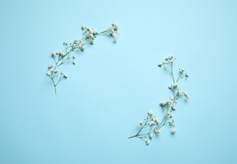 Beautiful floral composition with gypsophila flowers on light blue background, flat lay. Space for...