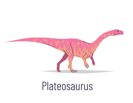 Plateosaurus. Sauropodomorpha dinosaur. Colorful vector illustration of prehistoric creature plateosaurus in hand drawn flat style isolated on white background. Huge fossil dinosaur.