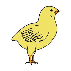 Chicken yellow hand drawn line drawing. Contour drawing.Scrawl.Drawing for the Easter holiday. Little chicken.Bird house.Vector